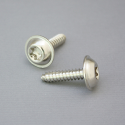 Round Head Washer (Torx) Tapping Screw w. No Sharp Point