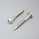 Round Head Washer (Torx) Type-17 Tapping Screw